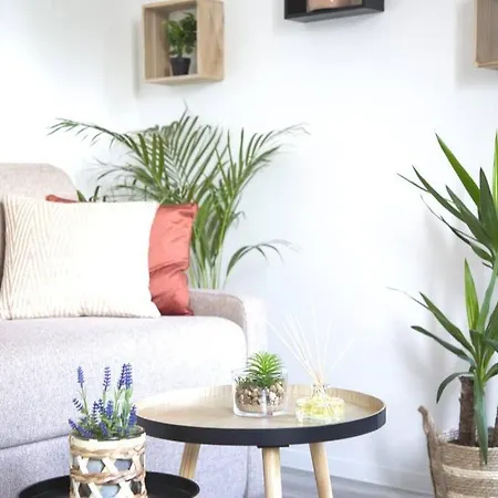 L'authentique *studio *parking Prive* *wifi*calme Appartement Lourdes